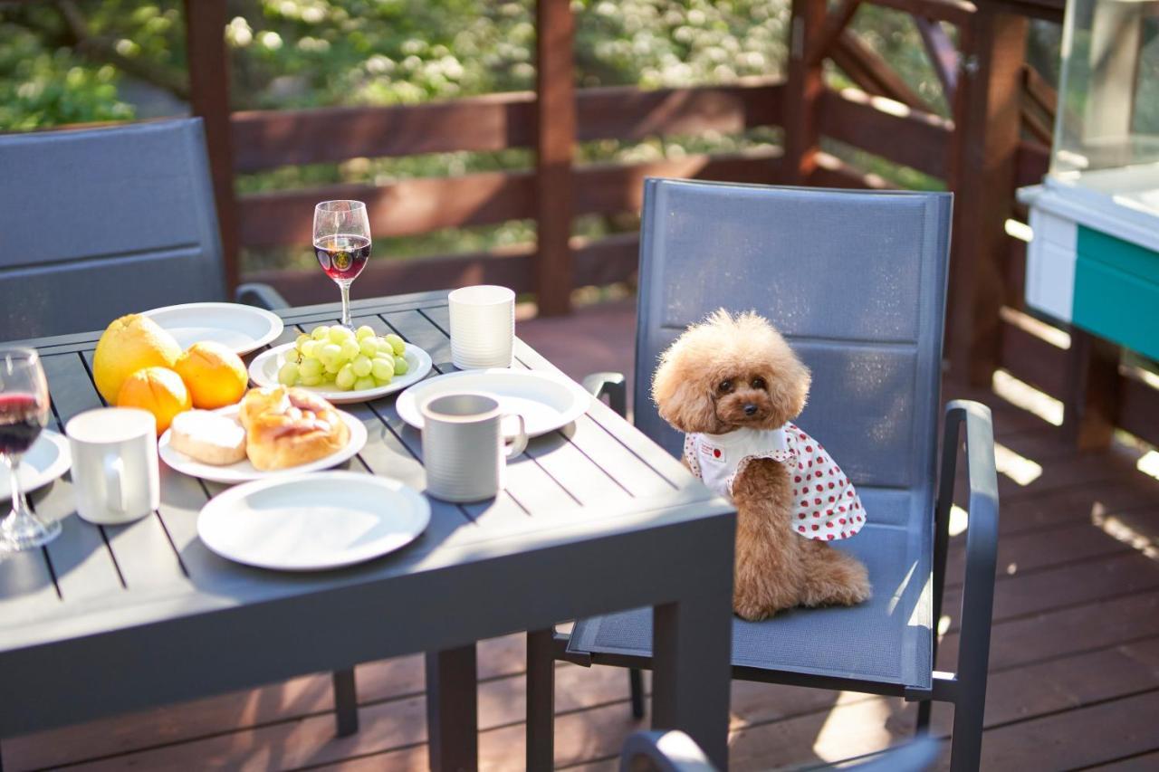 Suite Villa Nasukogen Doggy'S Ohana Eksteriør bilde